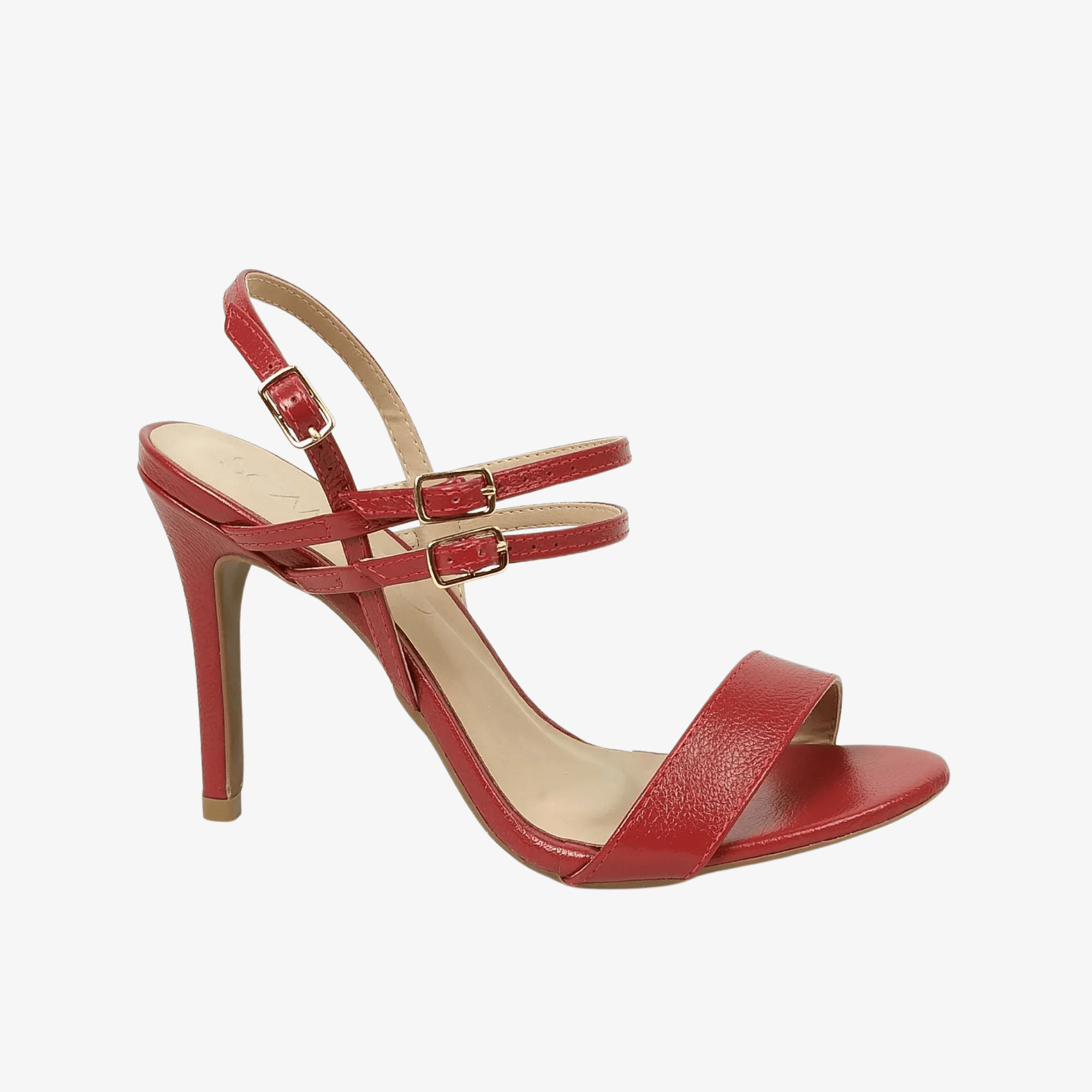 scamboo---43002602---fly-cardeal-43002602_1