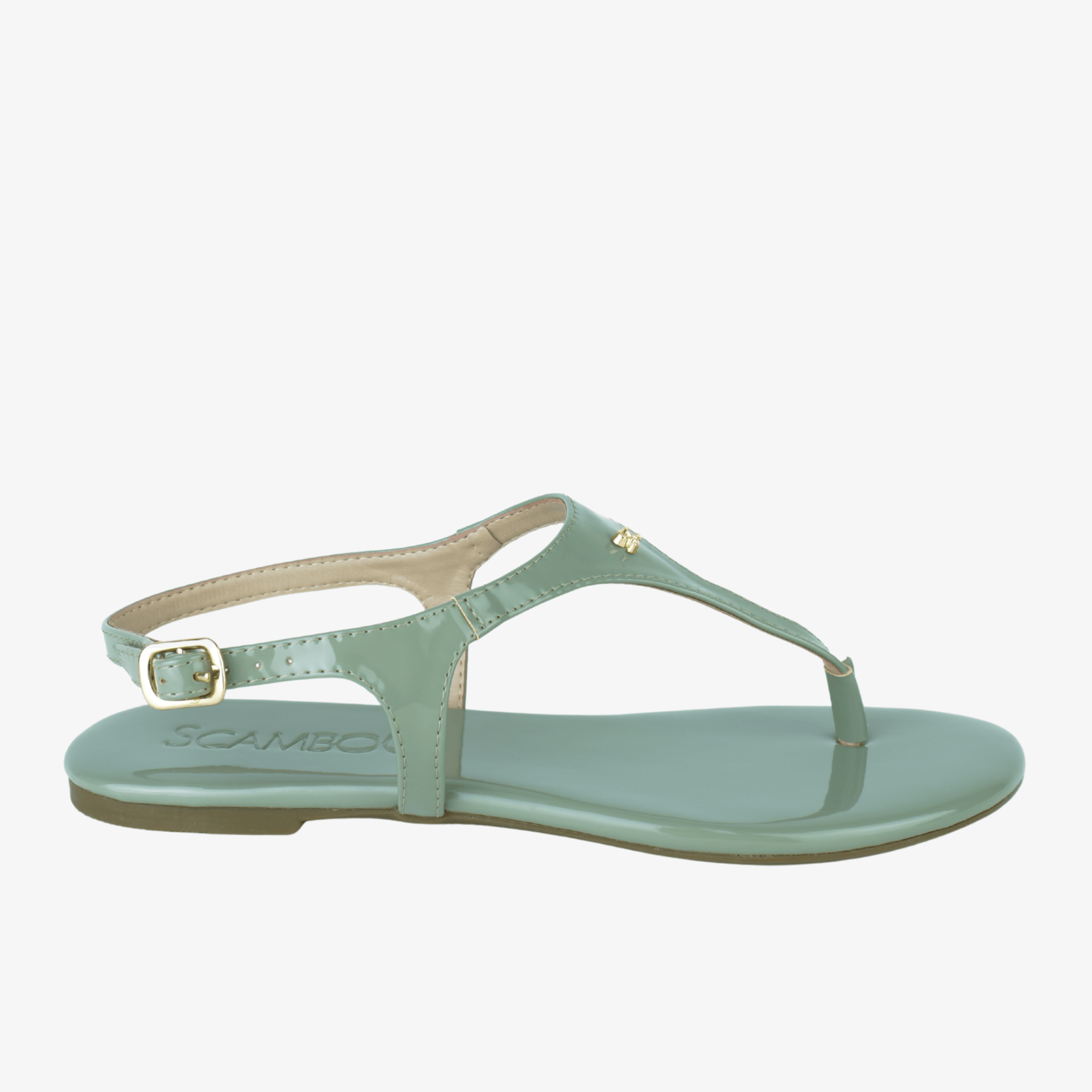 rasteira-verde--300001132_1